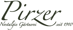Logo-Header.png