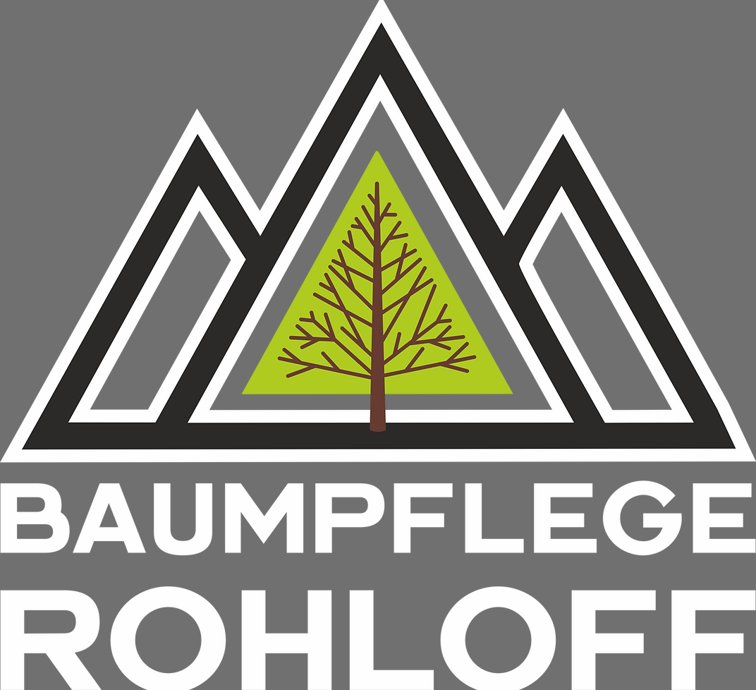 Logo-transparent-1.png